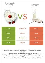 cottage cheese vs yogurt nutrition comparison
